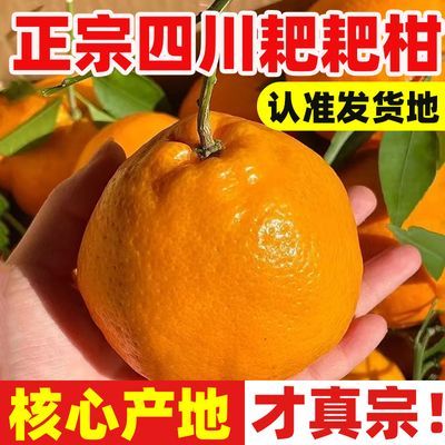 四川正宗春见耙耙柑粑粑柑橘桔子新鲜水果包邮眉山孕妇水果整箱【12月30日发完】