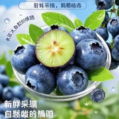 云南蓝莓空运鲜果蓝莓新鲜采摘应季水果当季孕妇宝宝大果蓝莓整箱