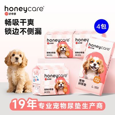 ڲ4ҹ©ֽèһԸƬ 53Ԫ