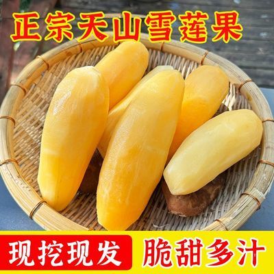 云南正宗天山雪莲果现挖当季新鲜应季水果黄心整箱