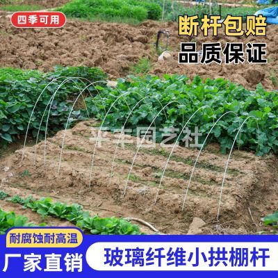 农用拱棚实心玻璃纤维杆菜棚骨架小拱棚蔬菜育苗棚家用拱杆