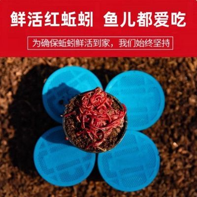 ���ڲ������������ʶ���������ϼ���ϺҰ��������ʻ��洹����ͨɱ���� 3.68Ԫ