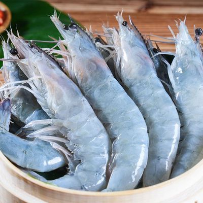 ���ڲ���������ˮ���ζ��ƺ���Ϻ�����䶳��ΧϺ��Ű�Ϻ��Ϻ����������� 79.89Ԫ