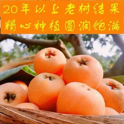 【新鲜现摘】云南蒙自枇杷新鲜水果当季孕妇枇杷果润肺止咳整箱