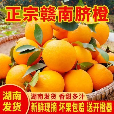 【赣南脐橙】当季鲜采皮薄肉嫩甜润多汁吃一次就爱上的橙香诱惑