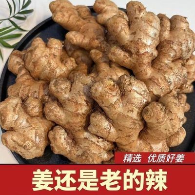 不看后悔】云南老姜生姜批发正宗黄姜老姜头月子姜蔬菜整箱母姜块