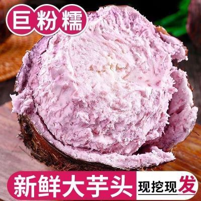 正宗荔浦大芋头 广西现挖新鲜蔬菜特产香芋紫心粉粉糯批发整箱