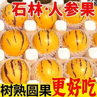 云南石林人参果大果树上熟黄圆果肉圆果应季应季新鲜人生水果整箱【12月24日发完】