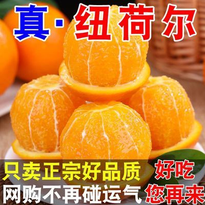 【爆甜橙子】正宗宜昌橙大果纽荷尔脐橙当季橙子鲜橙多汁应季水果