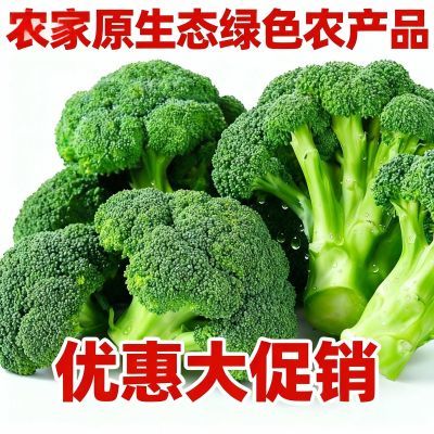 原生态农家西蓝花 脆嫩清甜无农残 减脂/老人小孩放心吃绿花菜