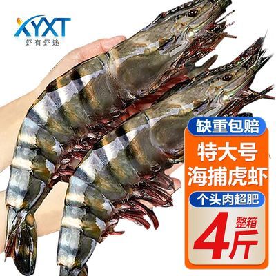 ���ڲ�����Ϻ��Ϻ;���ںڻ�Ϻ�ش���ϻ�Ϻ�����䶳�ʻ�߽�Ϻ���亣Ϻ���� 64.5Ԫ