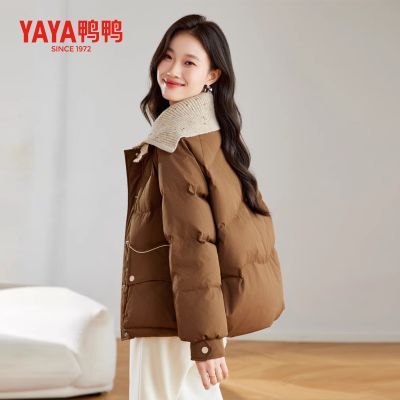 ڲYAYAѼѼ޷Ů̿25¿СӿɼӺ칤װ 259Ԫ