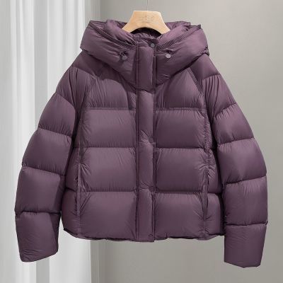 ڲ˿2025¿Ůװ90޿ɿſ۳̿ñ޷ 509Ԫ