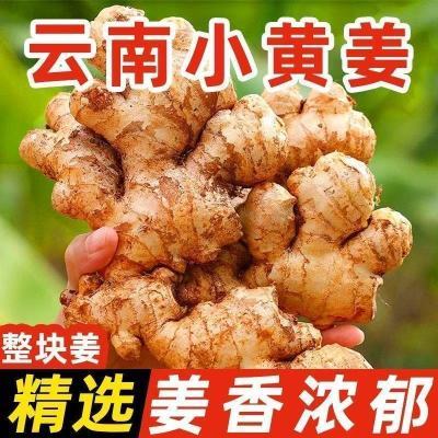 正宗云南小黄姜农家现挖特级老姜生姜农家自种姜月子蔬菜整箱批发