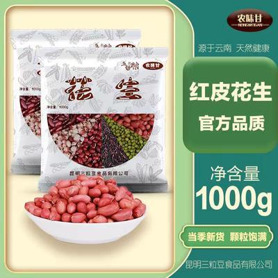 四粒红花生米东北特红皮花生米批发粒花生米无壳花生果花生米