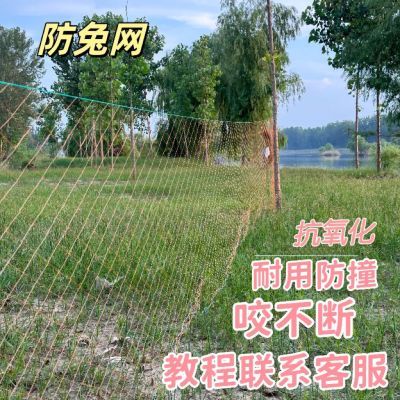 户外玉米大豆地兔子专用围网拦兔养鸡网果园防护网种菜万能网耐用