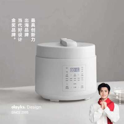 ڲolayksѹ4ѹܶ๦ܴ緹ȫԶ 311Ԫ