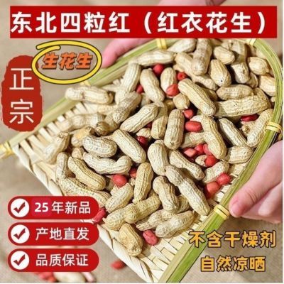 25东北四粒红 生花生 新鲜晒干 农家自种红皮 带壳 批发零售