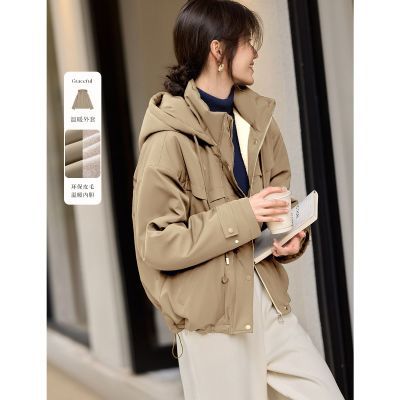 ���ڲ�����XWI��δ�������������ڵ�����Ƥë���ס�25������������ñ���� 270Ԫ