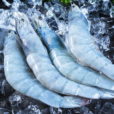 ���ڲ���������ˮ������տ����Ϻ���ʴ�Ϻ������Ϻ�䶳���ʴ�Ϻ������� 85.9Ԫ