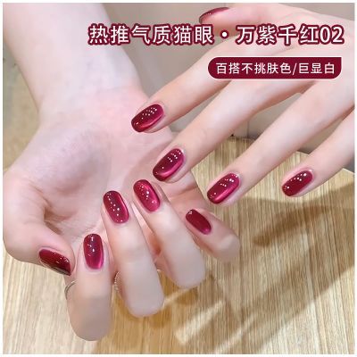 ���ڲ���������ʫ2025���¿�����ǧ��è�ۼ��ͽ��ﶬ�߲�ϸ���в�����è�� 14.5Ԫ