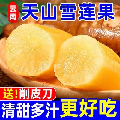 天山雪莲果水果云南正宗黄心现挖新鲜果应季整箱现货细长小个黄肉