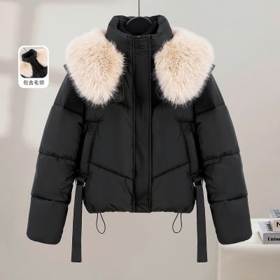 ڲ˿2025װ¿Ůװ糤ëɿԼ׶̿޷ 206Ԫ