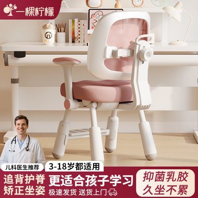 ���ڲ�������ͯѧϰ��Сѧ��ר�����μ�����������д�����ӽ���д��ҵ������ 198Ԫ