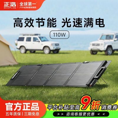 ڲECOFLOWƴܵԴ̫ܵ110WЯ۵ᳵر 663.9Ԫ