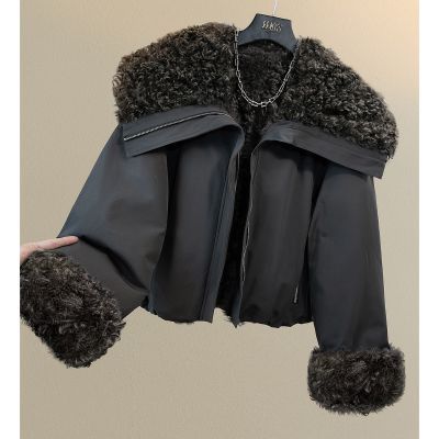 ڲ˿2025װ¿ŮװƸƴӿɿݳ· 442Ԫ