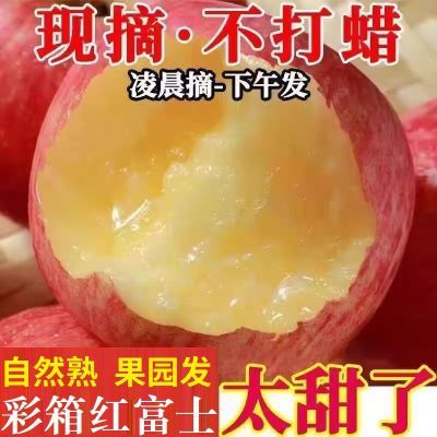 【包脆甜】山西临猗红富士苹果冰糖心头茬新鲜现摘孕妇水果整箱