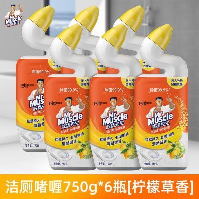 ���ڲ�������������������Һ����������750�����ȥ��ȥ����Ͱ���ʲݼ�ͥװ 42.5Ԫ