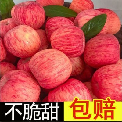 苹果正宗陕西贴纸冰糖水果红富士10洛川批发包邮发完【5天内发货】