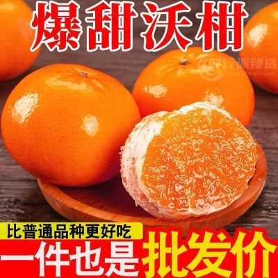 5斤正宗云南高山沃柑哀牢山甜桔子应当新鲜沃柑水果橘子现货整箱