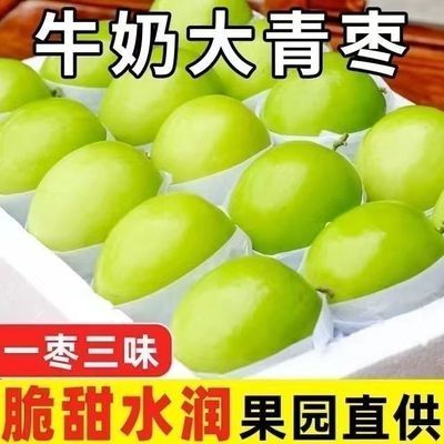 【脆】大青枣当季现摘脆枣贵妃冬枣脆甜蜜枣孕妇果脆甜大果带彩箱