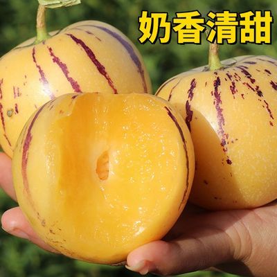 【商超品质】云南石林人参果风化石圆果黄果低糖水果