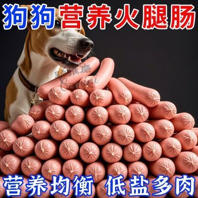 狗狗零食宠物火腿肠猫犬通用金毛泰迪营养无加盐训练奖励加大香肠