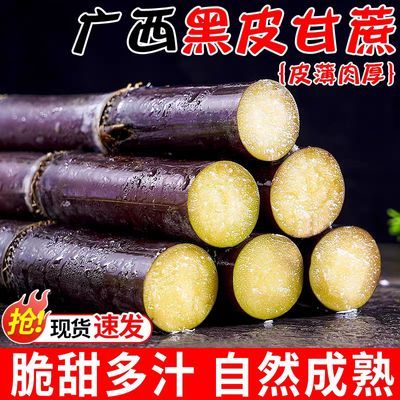 【当季现货】广西黑皮甘蔗新鲜现砍 当季水果甜杆蔗多汁 正宗批发