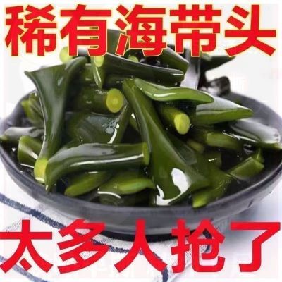 霞浦盐泽海带头特厚炖汤火锅食材海带头大宽头新鲜盐泽海带