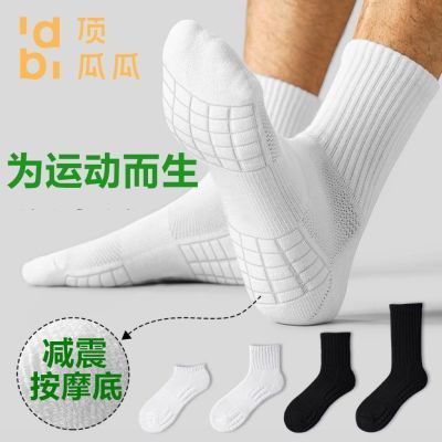 ڲϹϼëʿ˶ѧﶬͲ˶ë 21.9Ԫ