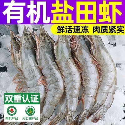 ڲȻл޹ϺٶϺϺиͯϺ 35.4Ԫ