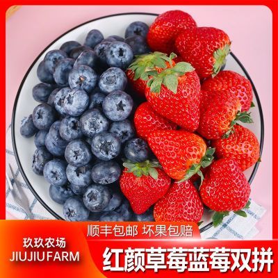 ڲũ˳ᵤ99ݮݮ˫ƴL25ݮ18mmںղݮ18g 55.8Ԫ