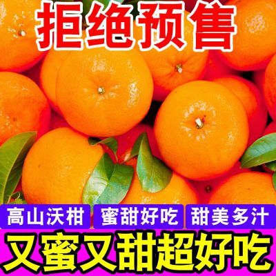【爆甜】云南沃柑高山橘子当季新鲜水果武鸣桔子薄皮超甜整箱批发