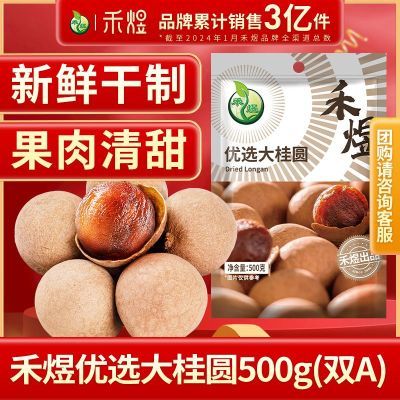 禾煜 桂圆干500g 桂圆核小壳薄肉厚带壳桂圆泡茶煲汤甘甜