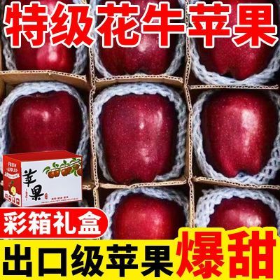 【彩箱礼盒】爆甜甘肃天水花牛苹果应季蛇果新鲜苹果水果批发整箱
