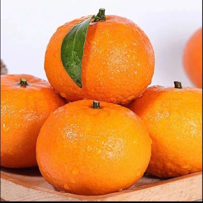 广西武鸣沃柑水果当季应季新鲜橘子当季桔子现摘现发柑橘香甜多汁