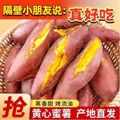 【坏果包赔】正宗陕西沙地板栗红薯粉糯甜新鲜蔬菜黄心番薯