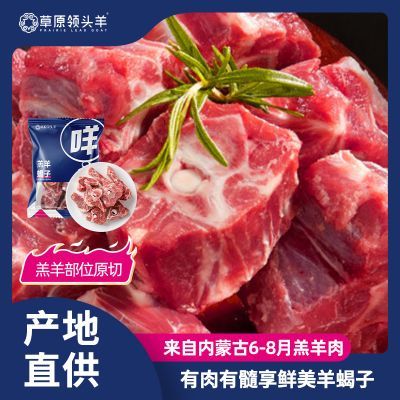 ���ڲ�������ԭ��ͷ�����ɹŸ���Ы�����������򼹹ǻ��ʳ��ԭ�� 73Ԫ