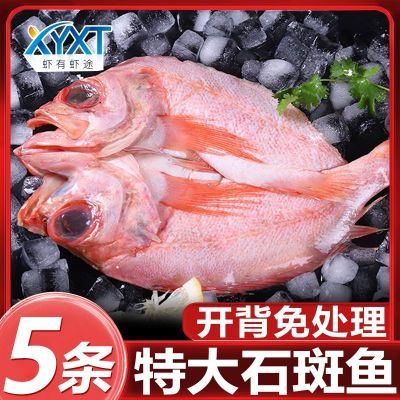 ���ڲ�������Ϻ��Ϻ;�����ʯ���������䶳�����⴦�������㸻���������㺣�� 33.19Ԫ