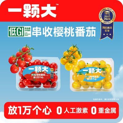 【一颗大】黄红樱桃散串番茄458g*4盒小番茄生吃新鲜自然熟西红柿